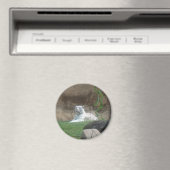 バキングホワイトタイガー マグネット (インサイチュ (食洗機))