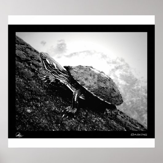 バキング ポスター (正面)