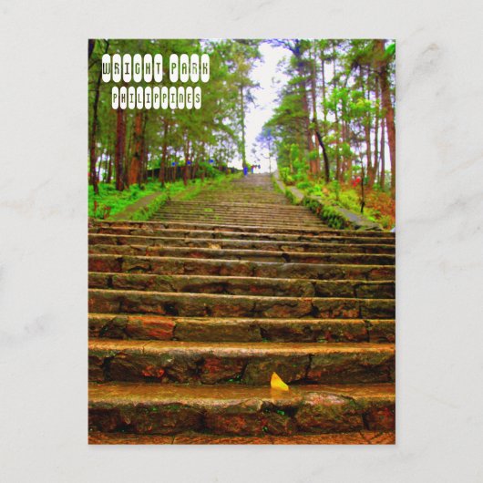 バギオのライトパーク ポストカード (正面)