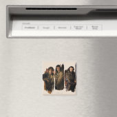 バギンズ™、ボウマンをバード™、オーケンシールドをソーリン™ マグネット (インサイチュ (食洗機))