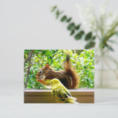 バギーとレッドリス ポストカード (スタンド正面)