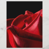 バギー・バード チラシ (正面)