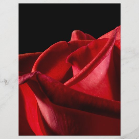 バギー・バード チラシ (正面)