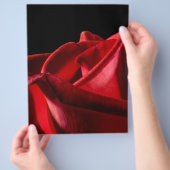 バギー・バード チラシ (手)