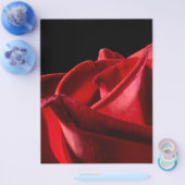 バギー・バード チラシ (シングル)