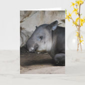 バクのメッセージカード カード (黄色い花)