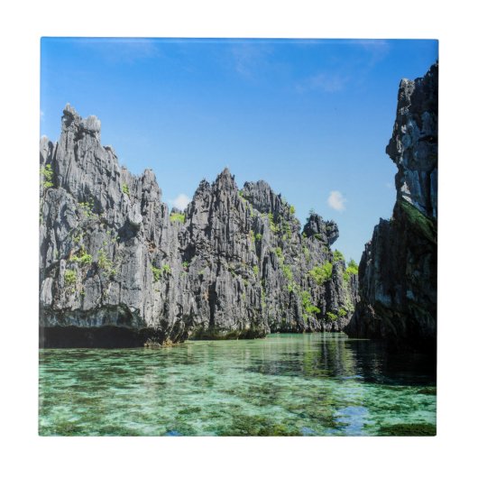 バクイト諸島 タイル (正面)