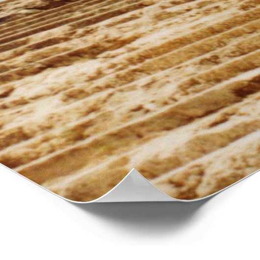 バクサス寺院 ポスター (角)