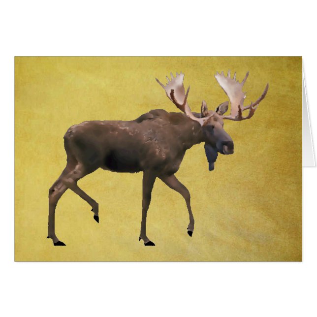 バクシカ (正面横)