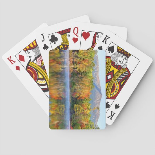 バクスター州パークメイン トランプ (裏面)