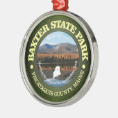 バクスターSP メタルオーナメント (左)