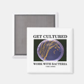 バクテリアで培養物を得る(寒天プレート) マグネット (正面/裏面)