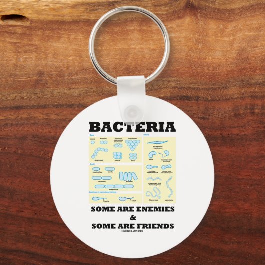 バクテリアの中には敵のものもあれば友人のものもある キーホルダー (正面)