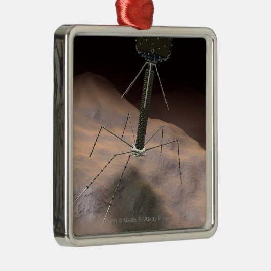 バクテリオファージの現実的なイラストレーション メタルオーナメント (右)
