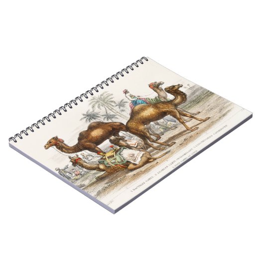 バクトリアのラクダ、アラビアンラクダまたはヒトデが垂れ下がった ノートブック (左側)