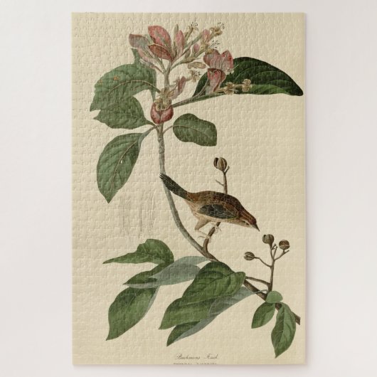 バクマンズフィンチ（スパロウ）アメリカのオードボンバード ジグソーパズル (縦)