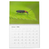 バグが尊重されないカレンダ#3 カレンダー (1月 2026)