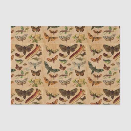 バグと蝶のヴィンテージ染色紙パターン 薄葉紙 (正面)