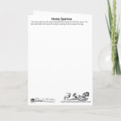 バグのあるハウススパロウサンキューカード サンキューカード (裏面)