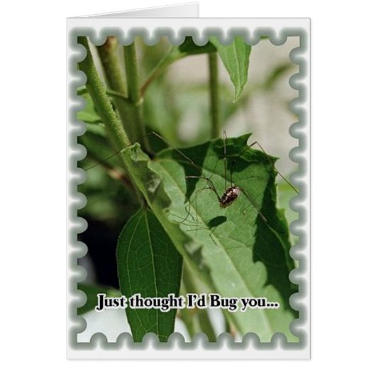 バグの作成 (正面)