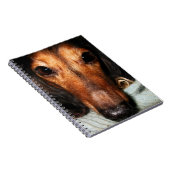 バグの回避MacKenzie ノートブック (右側)