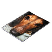 バグの回避MacKenzie ノートブック (左側)