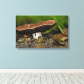 バグの寿命 キャンバスプリント (インサイチュ (ウッドフロア))