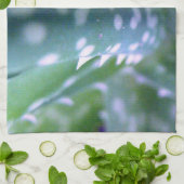 バグの見解アロエ キッチンタオル (折り畳み)