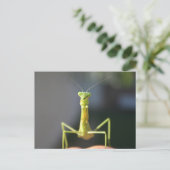 バグを作成 ポストカード (スタンド正面)