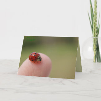 バグを捕まえたと聞いた カード