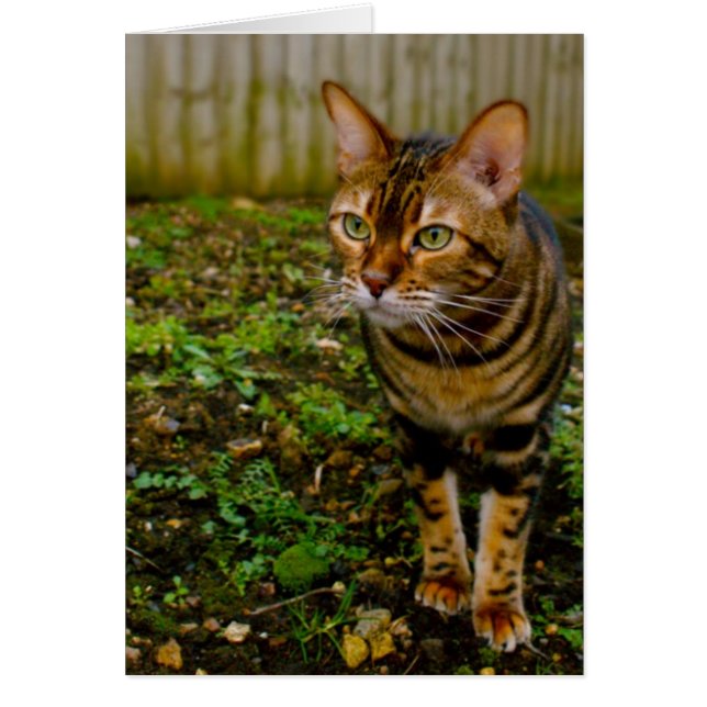 バグハンター (正面)