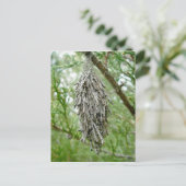 バグワームのはがき ポストカード (スタンド正面)