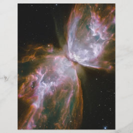 バグ星雲、蝶星雲、NGC 2346 チラシ