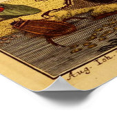 バグ1764 ポスター (角)