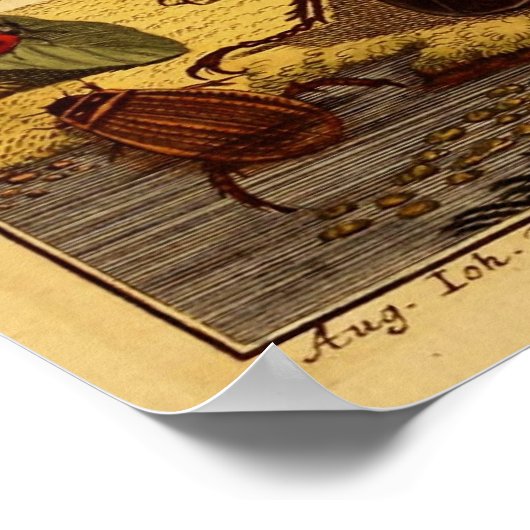 バグ1764 ポスター (角)