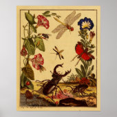 バグ1764 ポスター (正面)