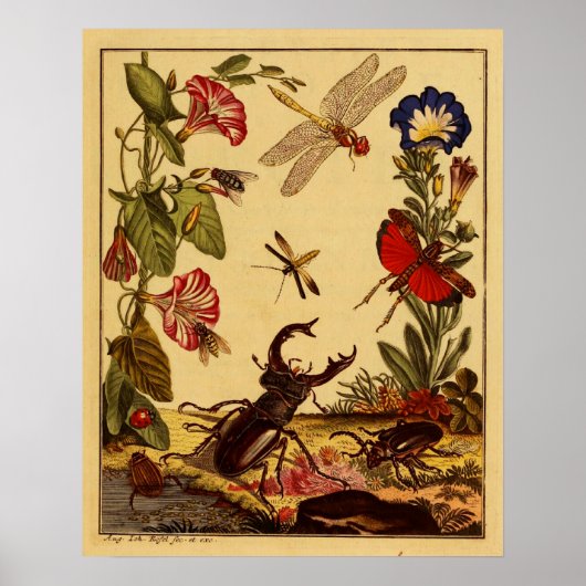 バグ1764 ポスター (正面)