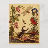 バグ1764 ポストカード (正面)