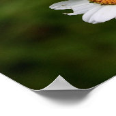 バグ！ ポスター (角)