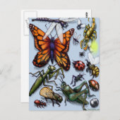 バグ ポストカード (正面/裏面)