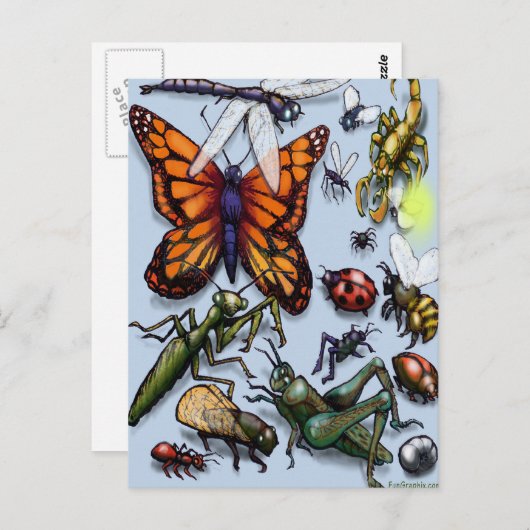 バグ ポストカード (正面/裏面)