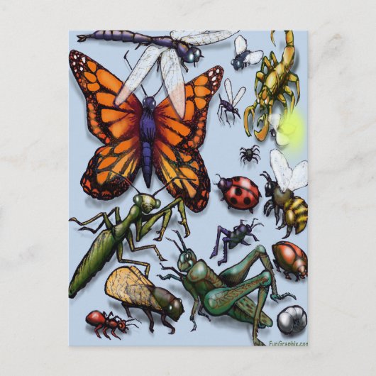 バグ ポストカード (正面)