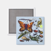 バグ マグネット (正面/裏面)