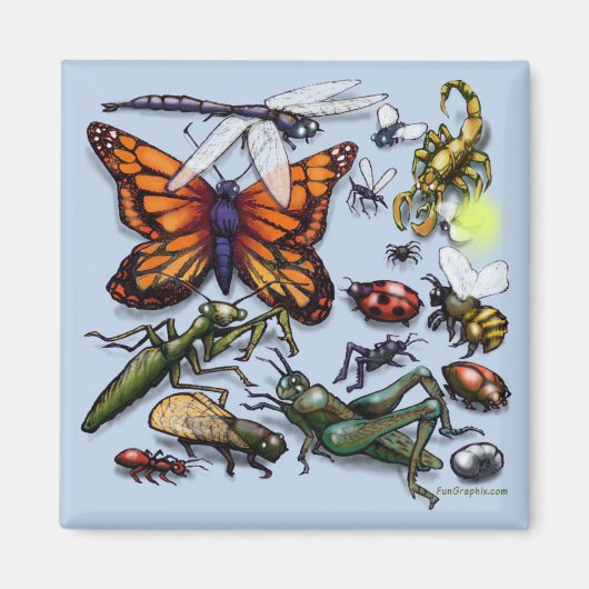 バグ マグネット (正面)