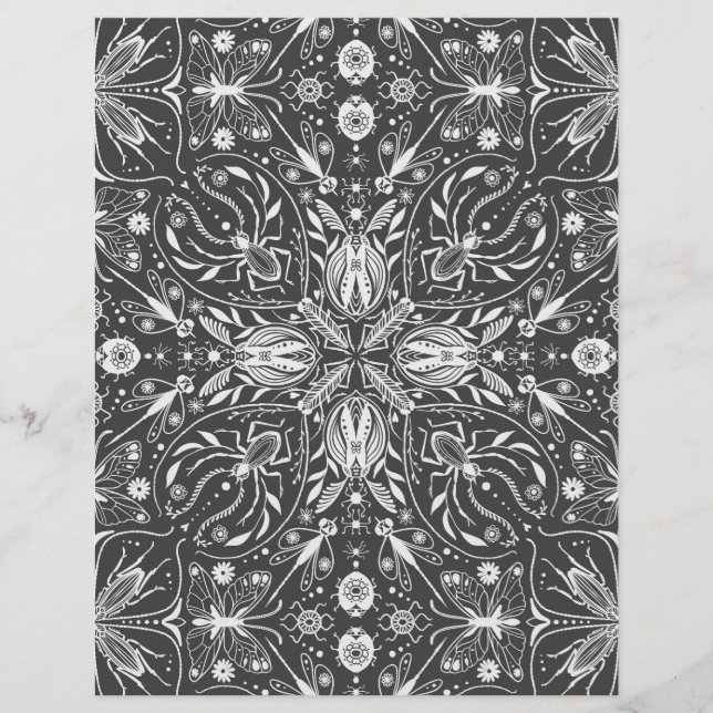 バグ、白の黒のオフ (正面)