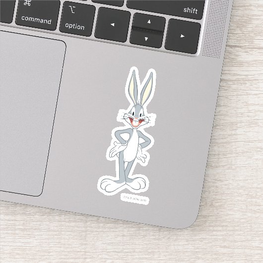 バグBUNNY™スタンディング シール (詳細)