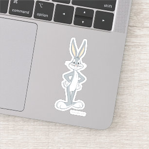 バグBUNNY™ バニー·スタレー シール