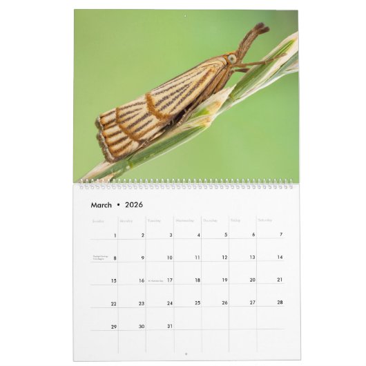 バグUPCLOSE 2021 カレンダー (3月 2026)