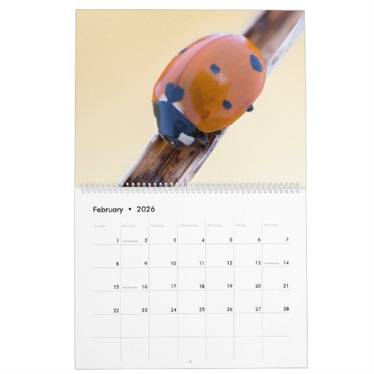 バグUPCLOSE 2021 カレンダー (2月 2026)