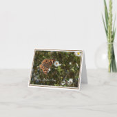 バケエ蝶の母の日のカード カード (正面)